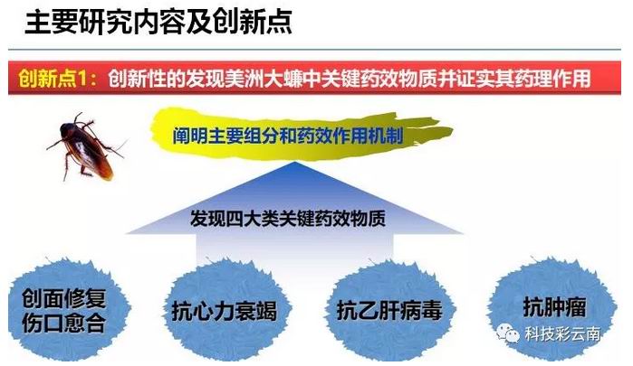 亿博(yibo)体育官网入口-ios/安卓通用版app下载