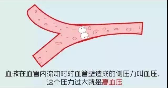 亿博(yibo)体育官网入口-ios/安卓通用版app下载