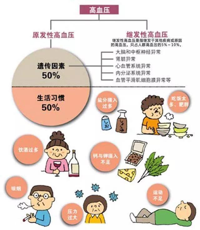 亿博(yibo)体育官网入口-ios/安卓通用版app下载