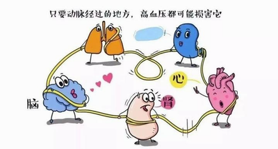 亿博(yibo)体育官网入口-ios/安卓通用版app下载