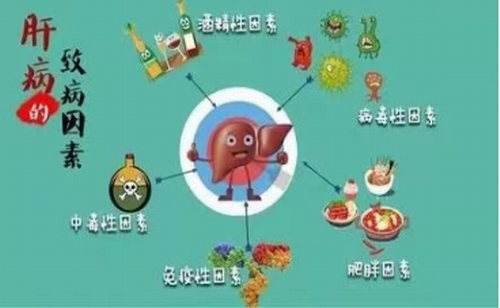 亿博(yibo)体育官网入口-ios/安卓通用版app下载