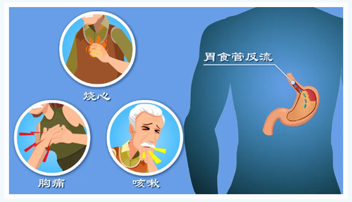 亿博(yibo)体育官网入口-ios/安卓通用版app下载