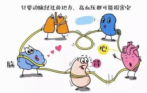 亿博(yibo)体育官网入口-ios/安卓通用版app下载