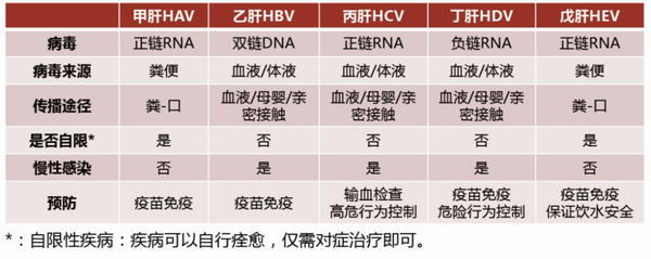 亿博(yibo)体育官网入口-ios/安卓通用版app下载